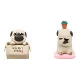 Подтверждение - Bazahei просит усыновления + Bazahei головная боль (развертывание и извлечение из упаковки)