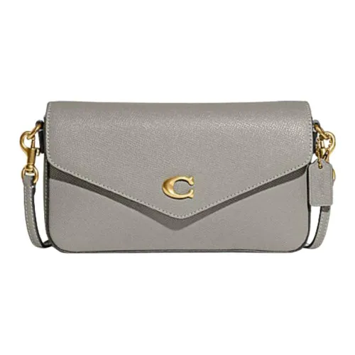 COACH Wyn Коровья кожа Сумка через плечо Маленькая Женская Серый
