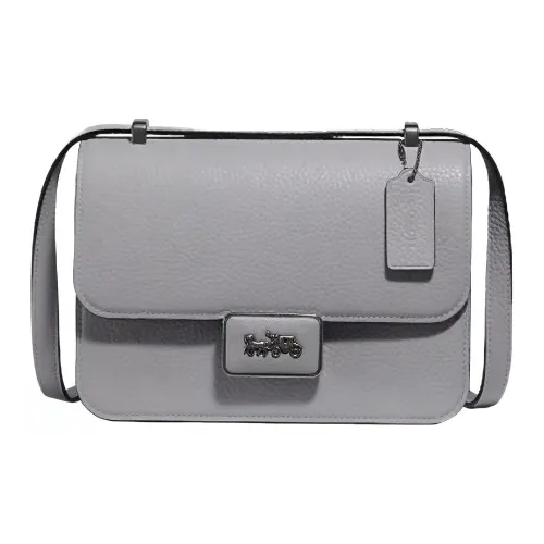 COACH Кожа Курьерская Сумка Маленькая Квадратная Сумка Сумка через плечо Средняя Женская Серый