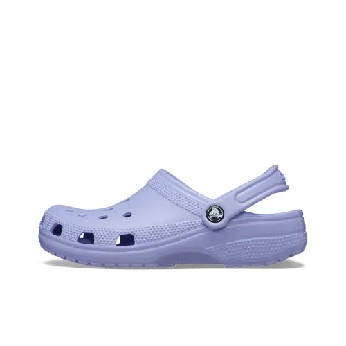 Crocs Classic Clog Sabo Женские Фиолетовый