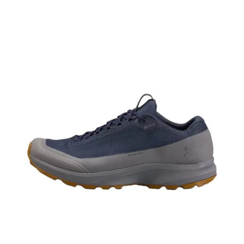 Arcteryx Aerios FL Водонепроницаемый Низкий Топ Походная обувь Мужская Синяя