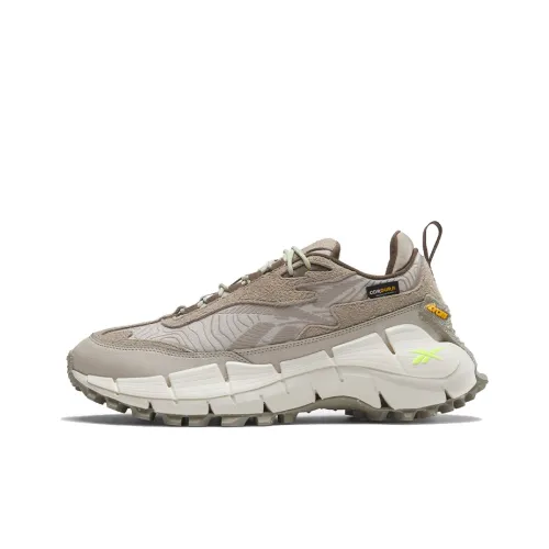 Reebok ZIG KINETICA 2,5 EDGE Беговые кроссовки Низкий топ Серый Белый Унисекс