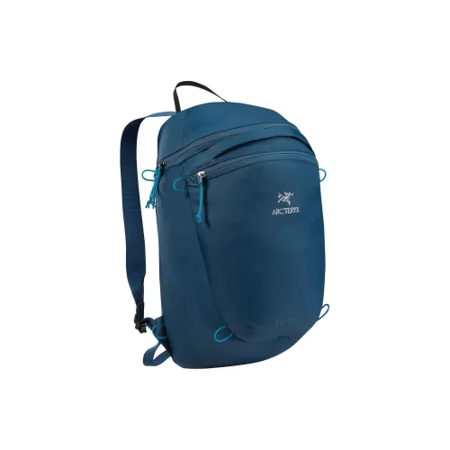 Arcteryx Index Туристические сумки Legion Синий Унисекс