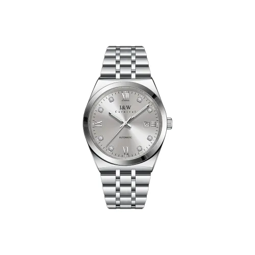 I W CARNIVAL HWGUOJI Автоматический механический механизм нержавеющая сталь ремешок мужские часы серый циферблат