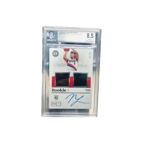 PANINI NASIR Little Игрок Карта Товар Спортивные карты Access