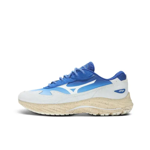 Кроссовки для бега Mizuno Wave Rider β Низкий топ Синий Белый Унисекс