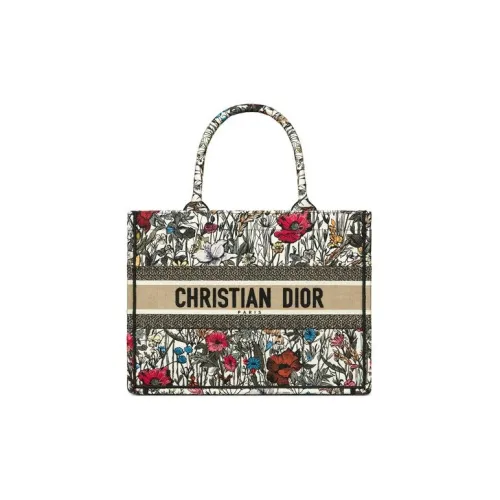 DIOR Canvas Bag Shoulder Bag Tote Bag Shopping Bag Small Women's Multicolor Embroidery DIOR Холщовая сумка Сумка через плечо Тоут сумка Сумка для покупок Маленькая женская многоцветная с вышивкой