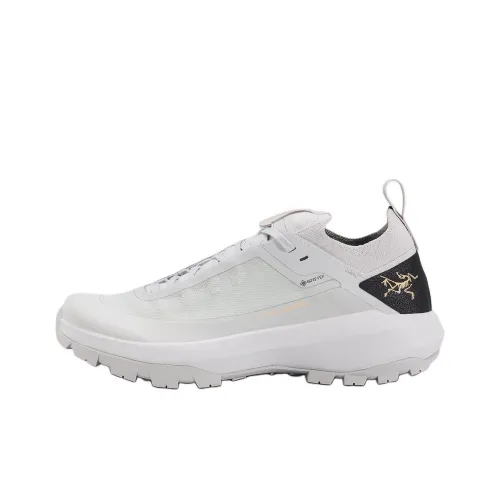 Arcteryx VERTE Водонепроницаемый и дышащий Низкий топ Альпинистские и туристические ботинки Женские Серый