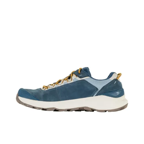 Oboz Footwear Уличная обувь Низкий топ Синий Мужской