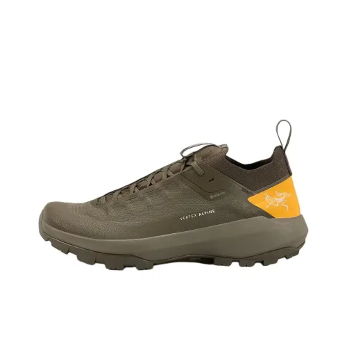 Arcteryx VERTE Slip-resistant Abrasion-resistant Low Top Альпинистские и туристические ботинки Мужской Зеленый