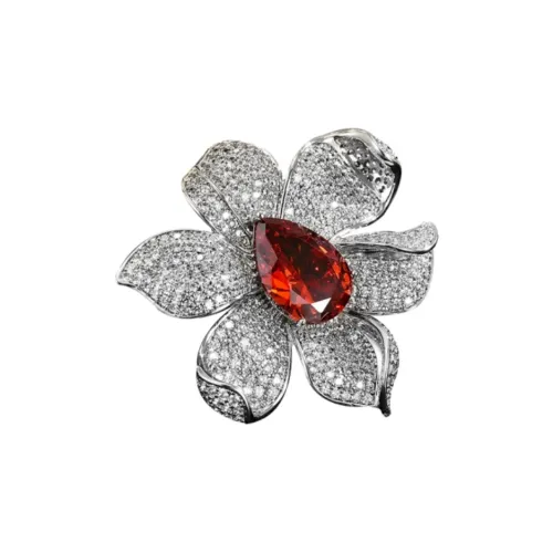 Marco Bizzarri Броши Женские