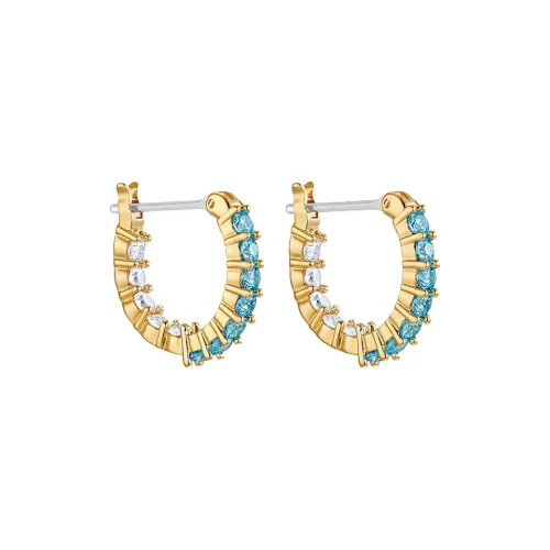 Swarovski Vittore Swarovski Элемент Серьги Женские