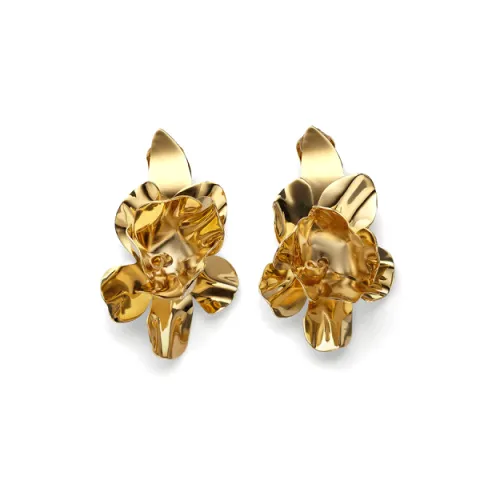 MARNI Брасс Серьги Женские Золото