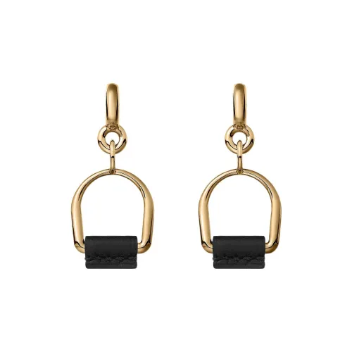 HERMES Металл Коровья кожа Серьги Женские