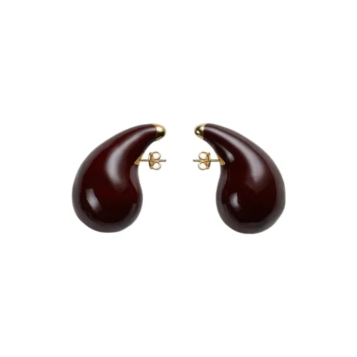 Bottega Veneta Серьги Коричневый Женские