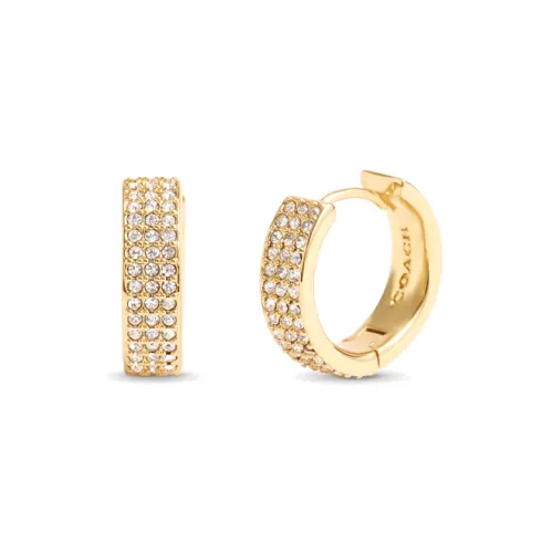 COACH Латунь Стекло Кубический цирконий Серьги Женские Золото