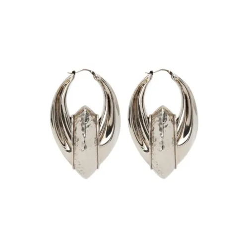Alexander McQueen Брассовые серьги Женские Серебряные