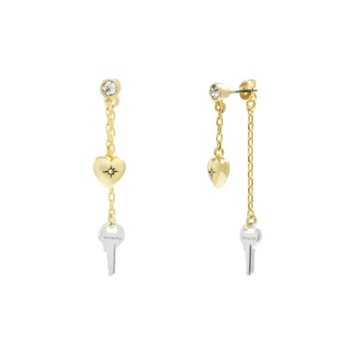 COACH Латунь Стекло Кристалл Титан Серьги Унисекс Золото