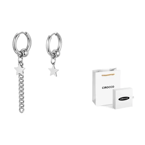 CIROCCO Серьги из титанового стального сплава Женские