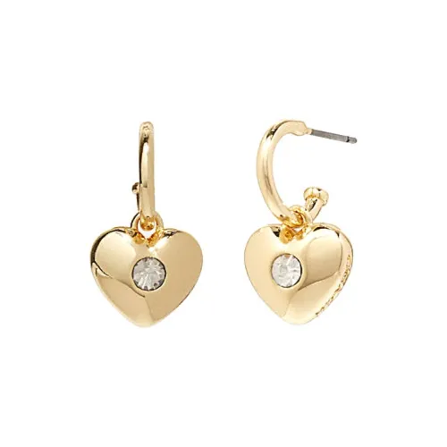 COACH Женские серьги из бронзы