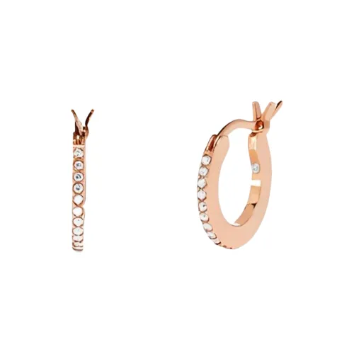 COACH Женские серьги из бронзы