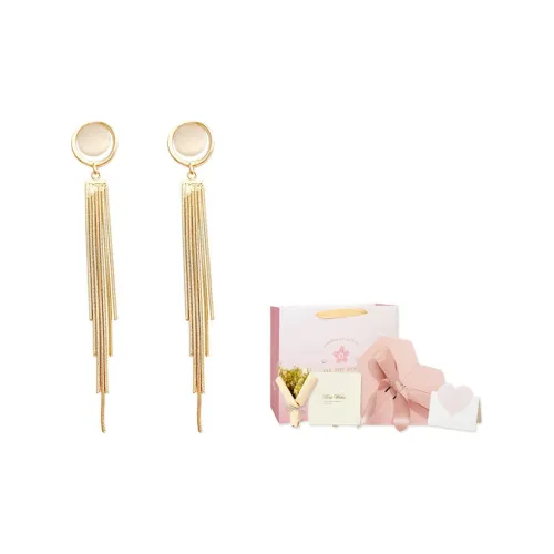 US8ACC Серьги Женские