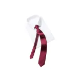 Бургундский галстук + ожерелье-чокер с булавкой [набор]