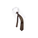 Коричневый галстук + ожерелье-чокер с булавкой [набор]