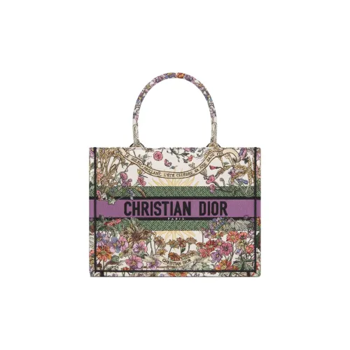 DIOR Вышивка Тоут Сумка Сумка для покупок Сумка среднего размера Женская Бежевая и Многоцветная