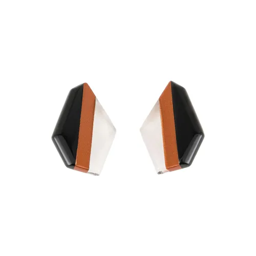 GIORGIO ARMANI Метил Акриловый Эстер Латунь Нижняя Заколка Серьги Женские Многоцветный