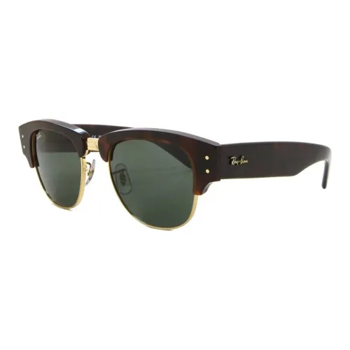 RayBan Propionate SALT Оправа «брови» Солнцезащитные очки Унисекс Черепаховый