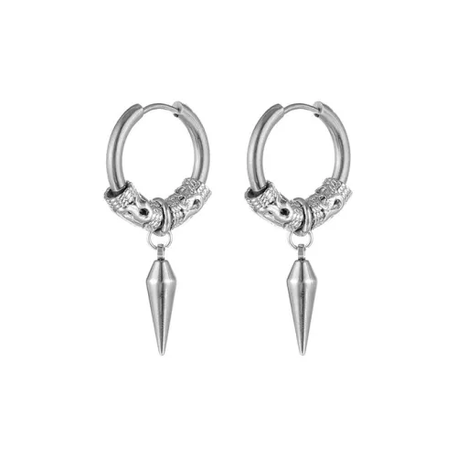 FOREVER MELODY Серьги из титанового стального сплава Мужские Серебряные