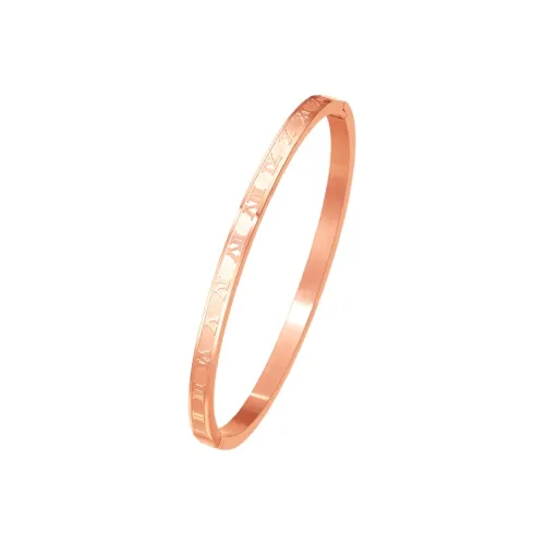 SGM Титановый стальной циркон браслеты женские розовое золото