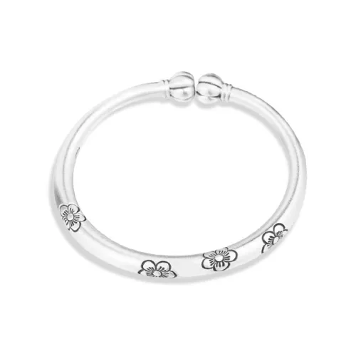 WANLIACC Сплав Тыква Голова Цветущая слива Браслет Женские