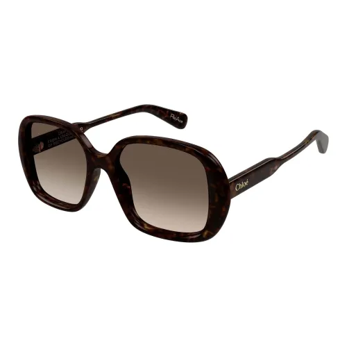 Chloe Переработанные ацетатные квадратные солнцезащитные очки унисекс коричневые