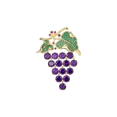 Marco Bizzarri Броши Женские