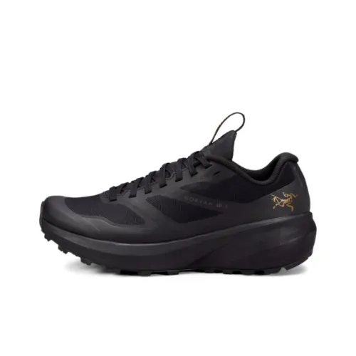 Arcteryx Norvan LD 3 Low Top Trail Бег Марафон Тренировки Бег на длинные дистанции Обувь Женские Черный