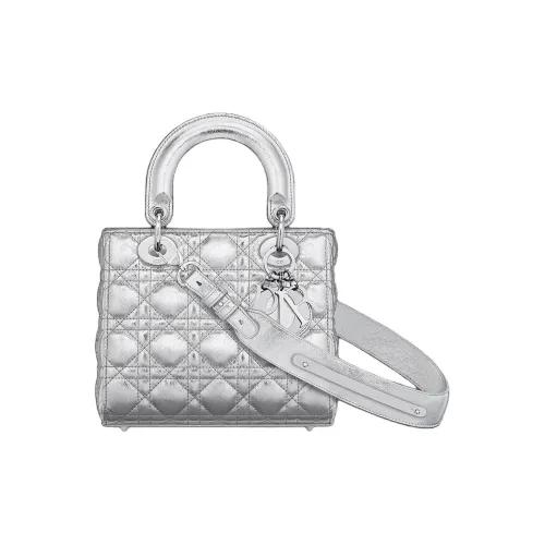 DIOR LADY DiorMy ABCDior Телячья кожа Сумка через плечо Сумка Women's Silver