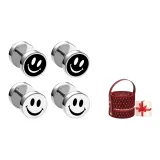 ME-xqes125 Пара-Камелия Подарочная Коробка