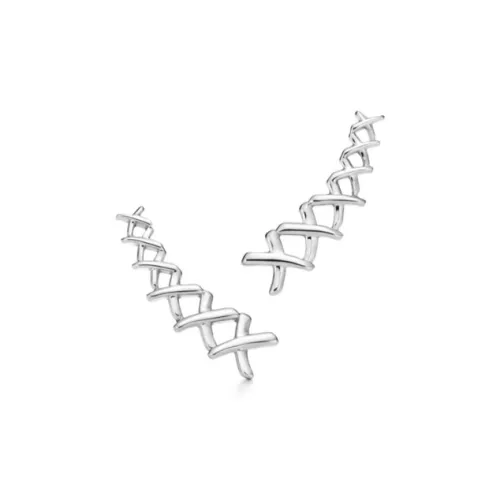 TIFFANY & CO. Серебро Серьги-гвоздики Унисекс