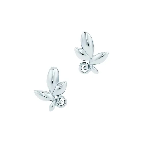 TIFFANY & CO. Серебро Серьги-гвоздики Женские