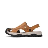 Светло-коричневый