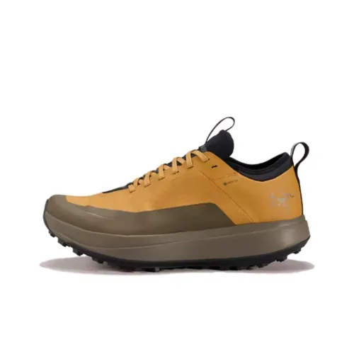 Arcteryx SYLAN Беговые кроссовки Низкий топ Желтый Зеленый Мужской