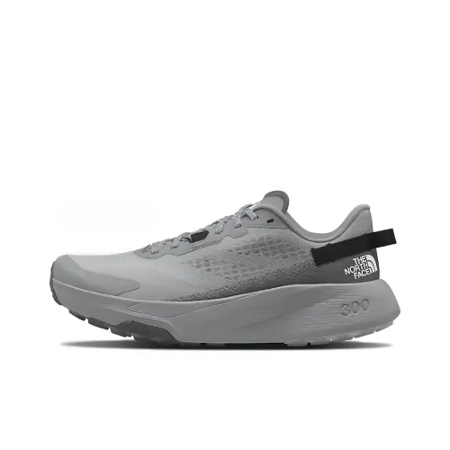 THE NORTH FACE Altamesa 300 Беговые кроссовки Низкий топ Серый Мужской