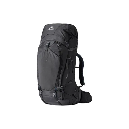 GREGORY 60L Туристические сумки Полиамид Пыльно-серый Унисекс