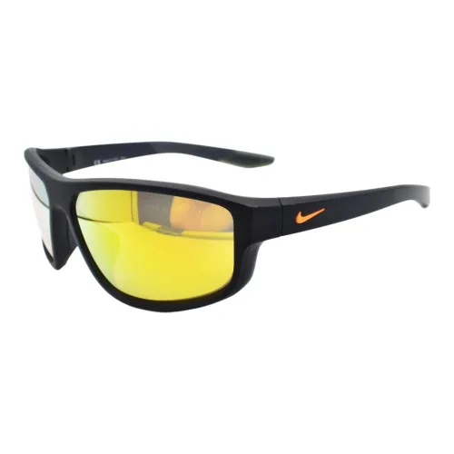 Nike Aviator Солнцезащитные очки Мужские Черные