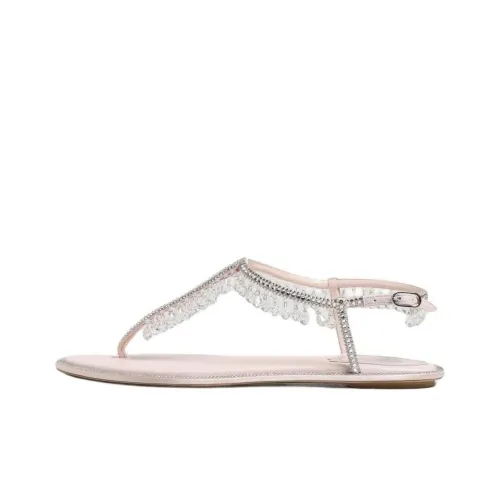 RENE CAOVILLA One Ремешок Сандалии Женские Розовые