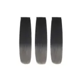 Коричневый-черный градиентный к зеленому дереву серый