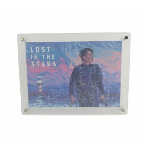 MAGGCOZONE The Vanished Woman Акриловая подставка для пазла периферийные товары для фильма