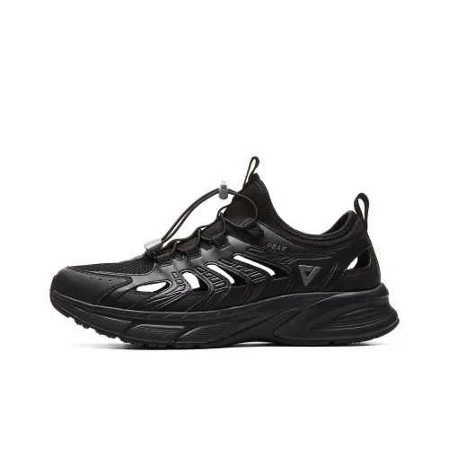 PEAK Беговые кроссовки Low Top Чисто черный Мужской
